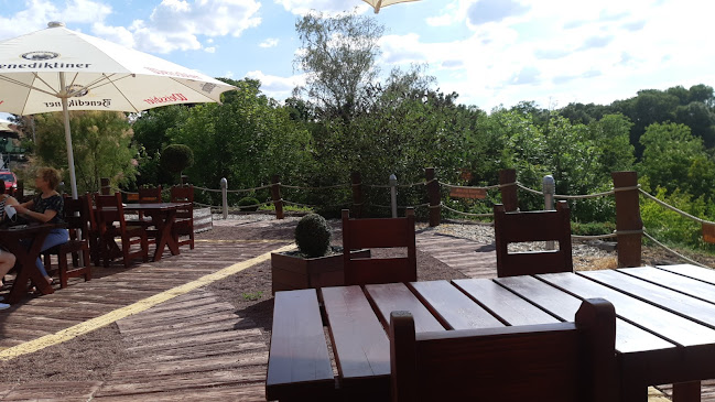 Comentarii opinii despre Roter Milan