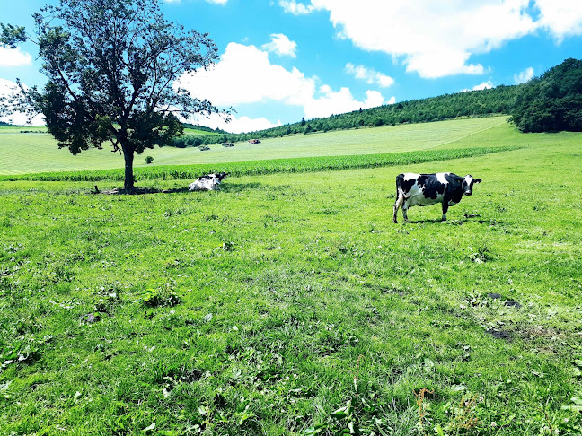 Opinii despre Bauwagen Bonacker în Meschede - Gastronomie und Hotellerie