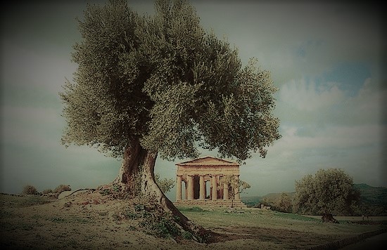 Pizzeria Trattoria La Ruota - Düsseldorf