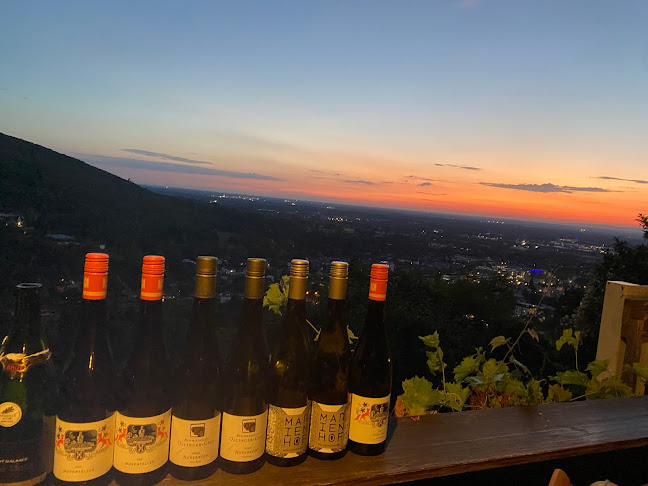 WeinCampus Fritsche - Ettlingen