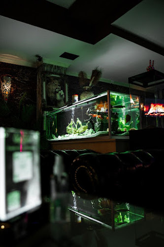 Aura Cocktail & Shisha Lounge