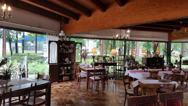 Ahauser Hof 6, 48527 Nordhorn