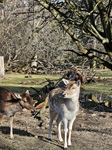Comentarii opinii despre Café Winuwuk