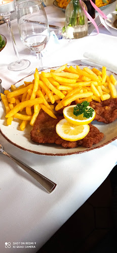 Comentarii opinii despre Krone-Diedesheim