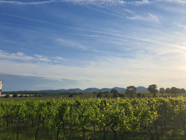 Pergola am Nußdorfer Weinerlebnispfad - Landau in der Pfalz