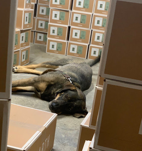 Opinii despre NWW Naturweinwelt GmbH în Heidelberg - Gastronomie und Hotellerie