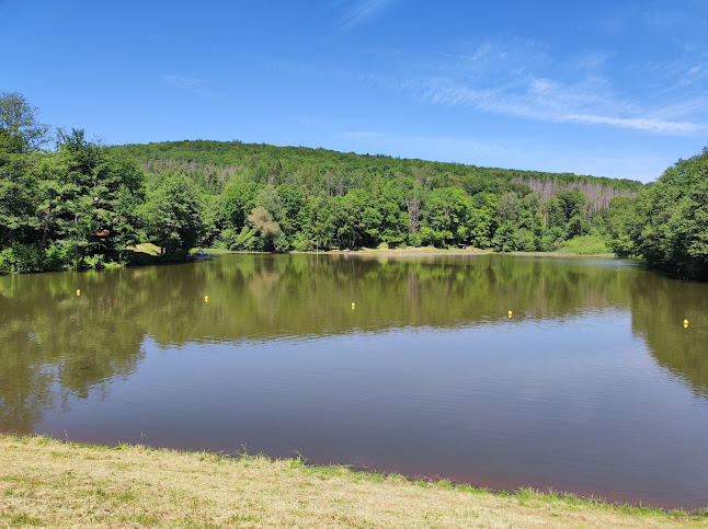 Restaurant & Waldcafé Am Kunstteich