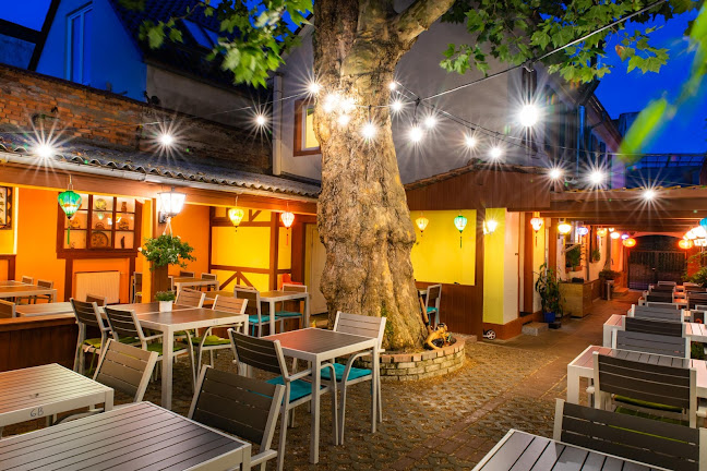 Comentarii opinii despre Asia - Wok - Garden