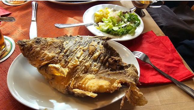 Opinii despre Gaststätte Morgensonne în Zirndorf - Gastronomie und Hotellerie