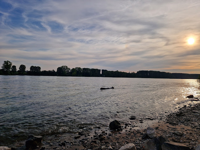 Comentarii opinii despre Mondi Beachbar