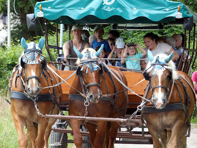 Quintusstraße 13, 29683 Bad Fallingbostel