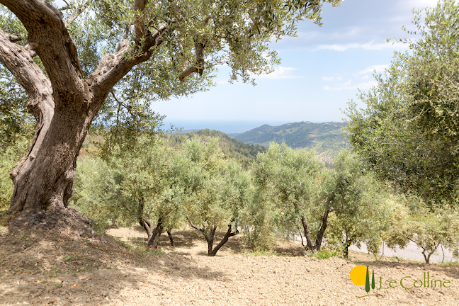 Opinii despre Le Colline UG (haftungsbeschränkt) în Oberursel (Taunus) - Gastronomie und Hotellerie
