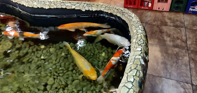 Asia Restaurant Mandarin, VU Thi Hang - Singen (Hohentwiel)