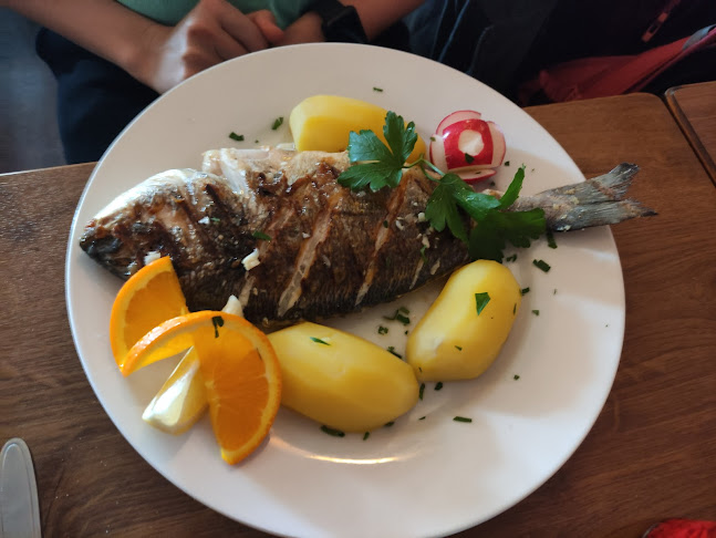 Comentarii opinii despre Lusitano