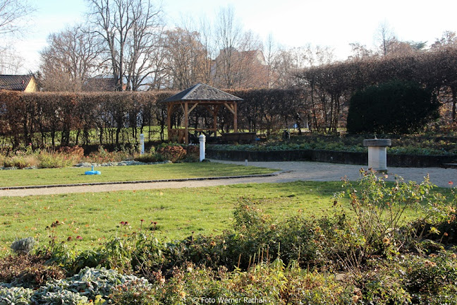 Tango Am Rosengarten