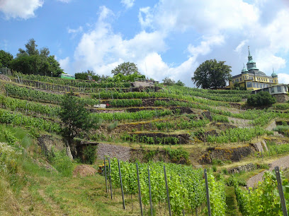 Weinbau Frédéric Fourré