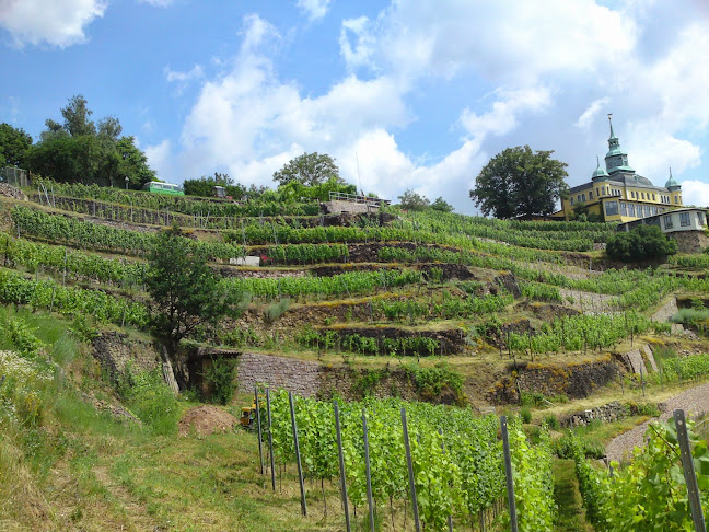 Weinbau Frédéric Fourré