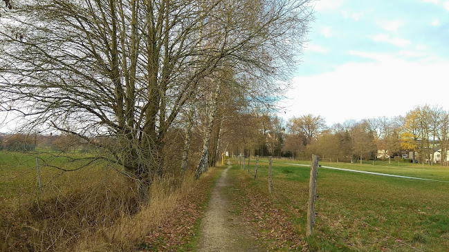 Opinii despre Reitercafe în Chemnitz - Gastronomie und Hotellerie