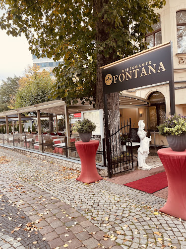 Comentarii opinii despre Ristorante Fontana