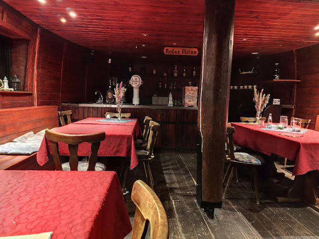 Roter Milan - Halle (Saale)