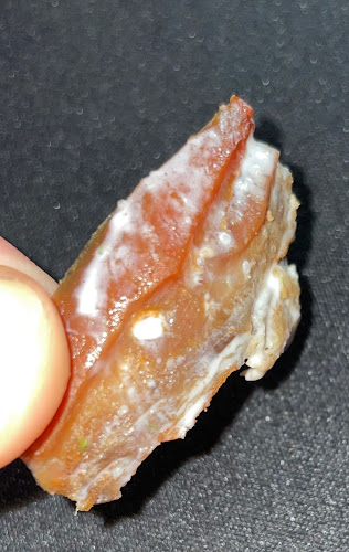 City Pizza Kebap Haus - Gastronomie und Hotellerie