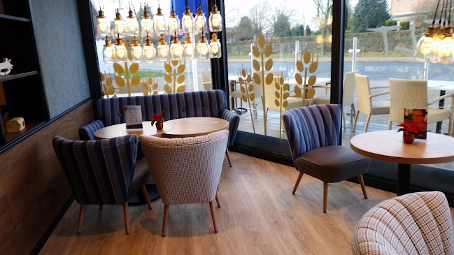 Baalk Backbord KG Dörverden - Dörverden