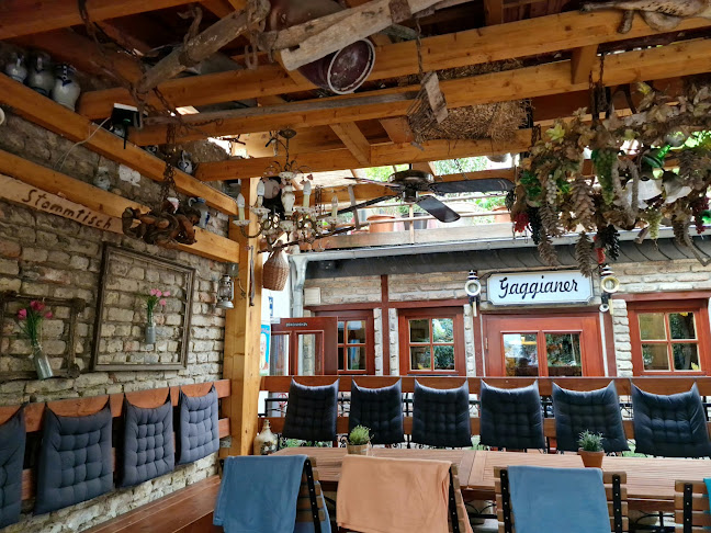 Comentarii opinii despre "Gaggianer"