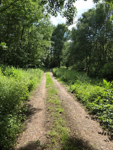 Comentarii opinii despre Winzergarten Unterrißdorf