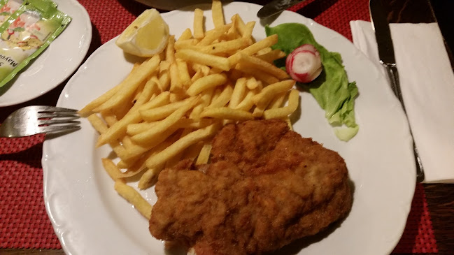 Comentarii opinii despre Steakhaus Hazienda