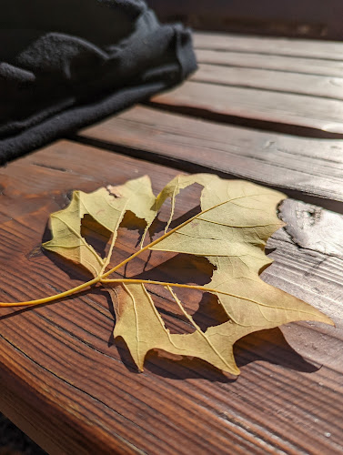 Comentarii opinii despre Personalcasino