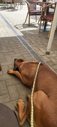 Am Bahnhof 6 A, 15831 Blankenfelde-Mahlow