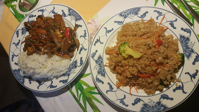 Opinii despre China Thai Vietnam în Landshut - Gastronomie und Hotellerie