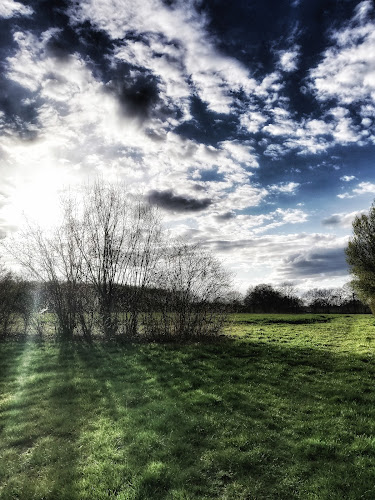 Opinii despre Große-Streuer OHG Gaststätte Brunnenhof în Herten - Gastronomie und Hotellerie