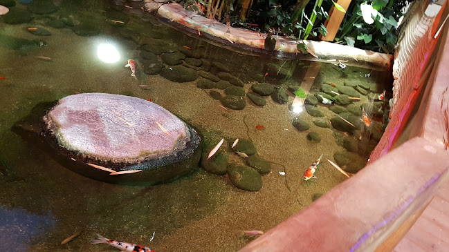 Baluba Bar - Leutkirch im Allgäu