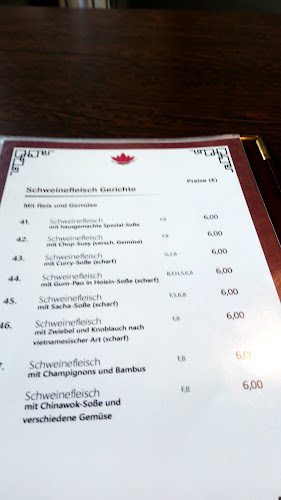 Comentarii opinii despre Hoa Sen - Asiatische Küche