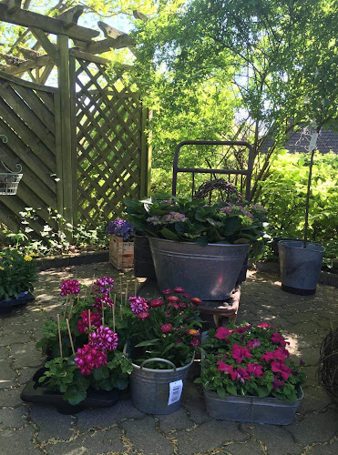 Comentarii opinii despre Mokkasin Cafe Schuhe & Schönes