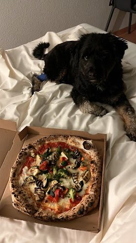 Borsigstraße 32, 65205 Wiesbaden