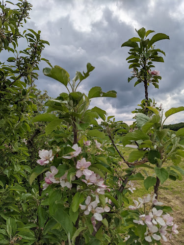 Edelobstplantage Hillemacher + SB Lebensmittel-Automat - Gastronomie und Hotellerie