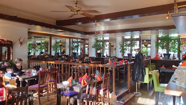 Opinii despre Spaghetti Haus Nosal GmbH în Neuss - Gastronomie und Hotellerie