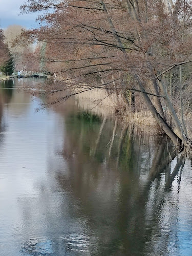 Comentarii opinii despre Fischhof Mellensee