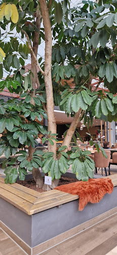 Opinii despre le Café Behrens-Meyer Tweelbäke în Oldenburg - Gastronomie und Hotellerie