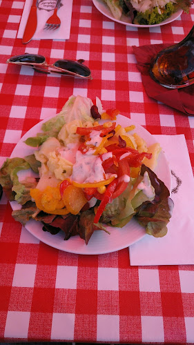 Comentarii opinii despre Zum Propeller