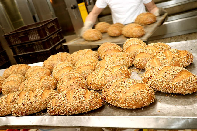 Opinii despre Verspohl | Bäckerei, Konditorei & Café în Altenberge - Gastronomie und Hotellerie