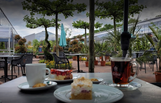 Opinii despre le Café Behrens-Meyer Tweelbäke în Oldenburg - Gastronomie und Hotellerie