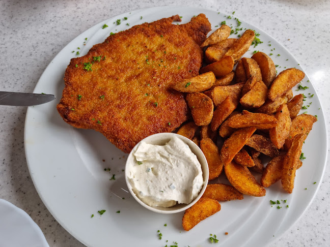 Comentarii opinii despre Zum Propeller