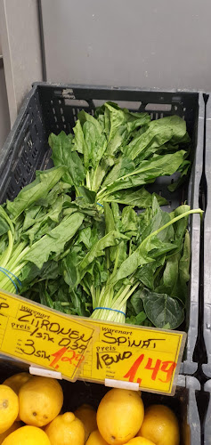 Turnerstraße 9, 40764 Langenfeld (Rheinland)