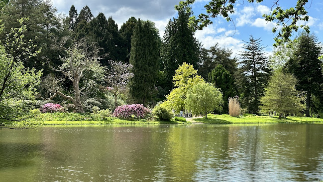 Café Siebenbergen - Gastronomie und Hotellerie