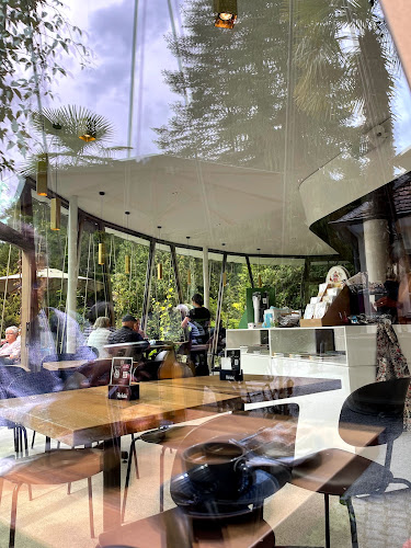 Comentarii opinii despre Café Siebenbergen