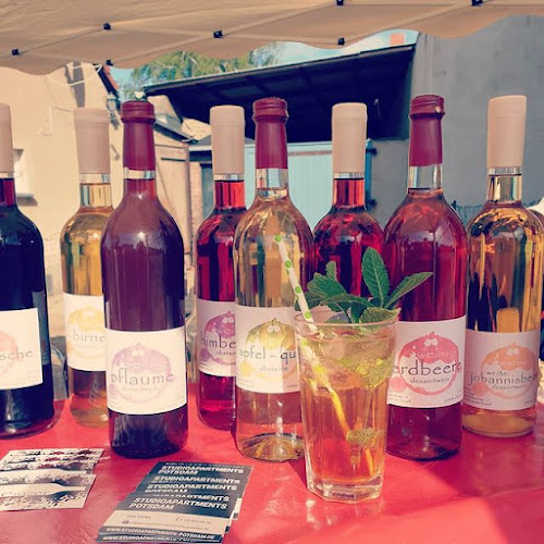 Comentarii opinii despre weinzer