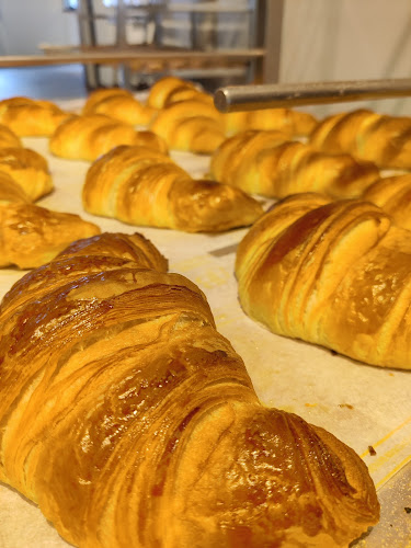 Zita-Kaiser-Straße 4, 79106 Freiburg im Breisgau